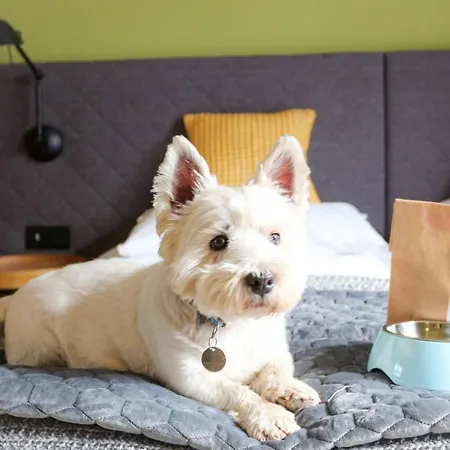 Ever Gruen ホテル カプルーン