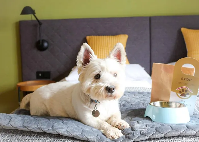 Ever Grün - New Opening Hotel Kaprun